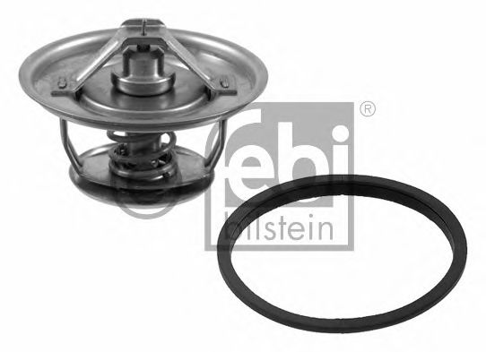termostat,lichid racire