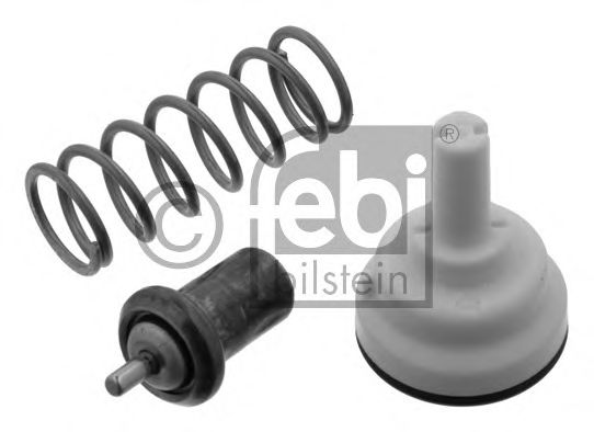 termostat,lichid racire