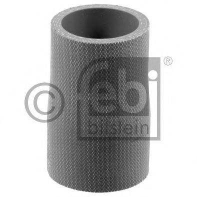 Furtun radiator