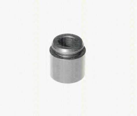 Piston, etrier frana