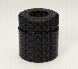 Piston, etrier frana