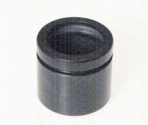 Piston, etrier frana