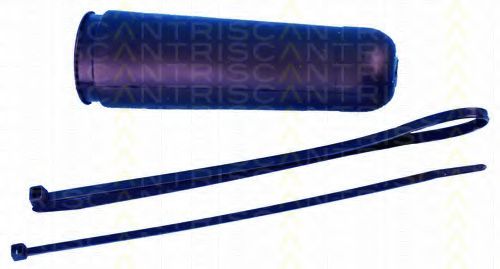 Ansamblu burduf, directie