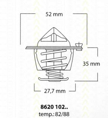 termostat,lichid racire