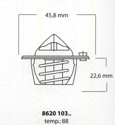 termostat,lichid racire