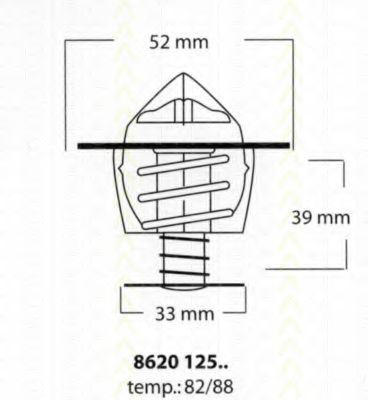 termostat,lichid racire