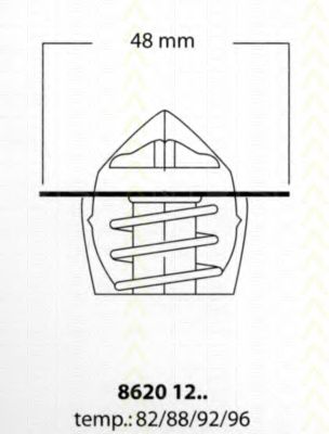 termostat,lichid racire