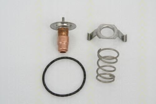 termostat,lichid racire