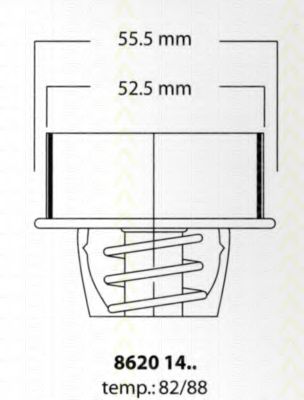 termostat,lichid racire