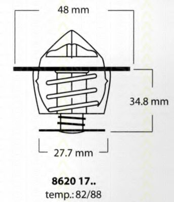 termostat,lichid racire