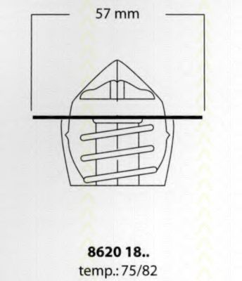 termostat,lichid racire