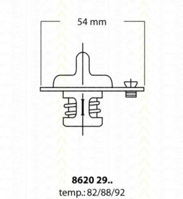 termostat,lichid racire