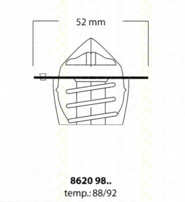 termostat,lichid racire