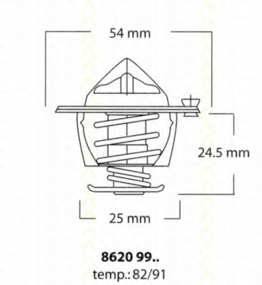 termostat,lichid racire