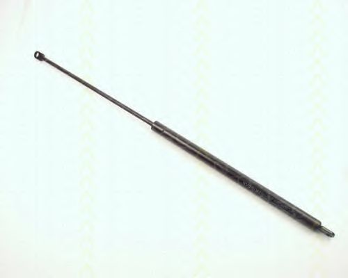 Amortizor capota