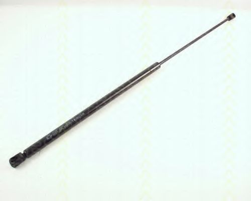 Amortizor capota