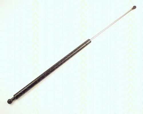Amortizor capota