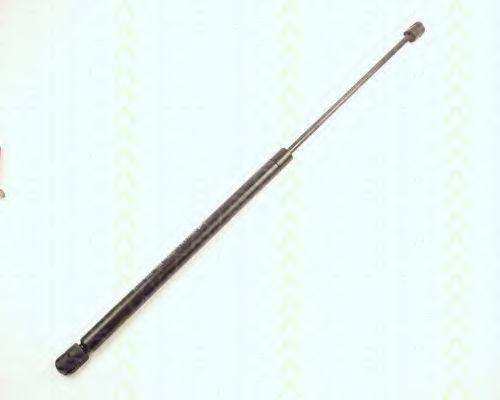 Amortizor capota