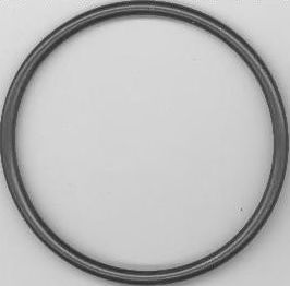 Garnitura termostat