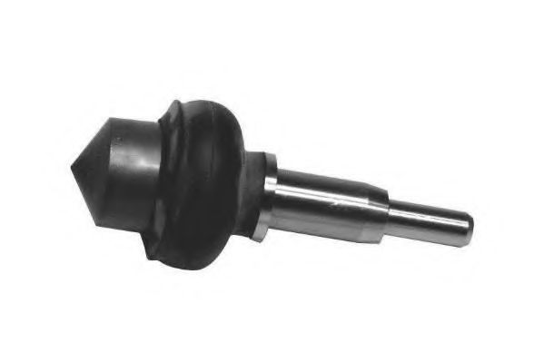 Articulatie parghie cot