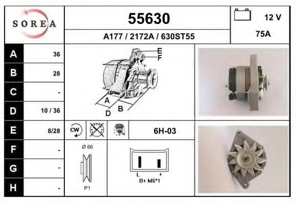 Generator / Alternator