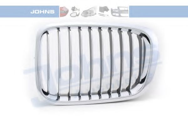Grila radiator