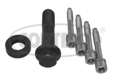Set surub, disc curea-arbore cotit