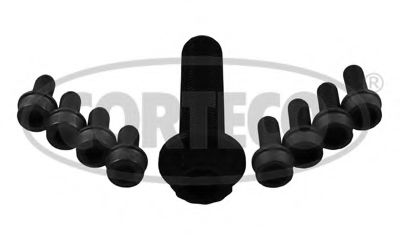 Set surub, disc curea-arbore cotit