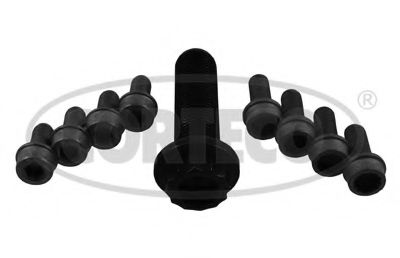 Set surub, disc curea-arbore cotit