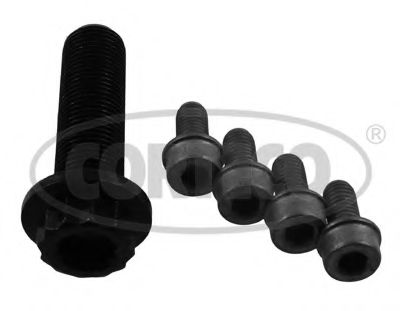 Set surub, disc curea-arbore cotit