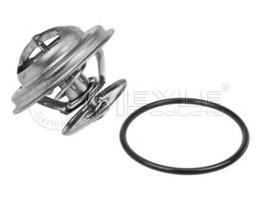 termostat,lichid racire