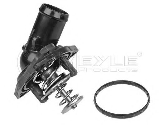 termostat,lichid racire
