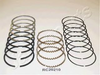 Segment piston