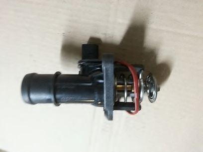 termostat,lichid racire