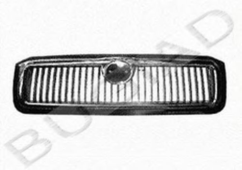 Grila radiator