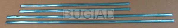 Elemente decorative/protectie, portiera