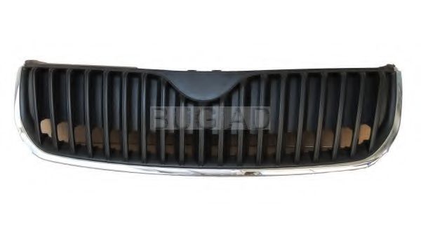 Grila radiator