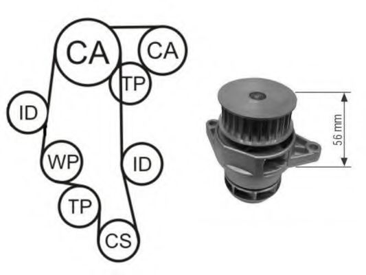 Set pompa apa + curea dintata