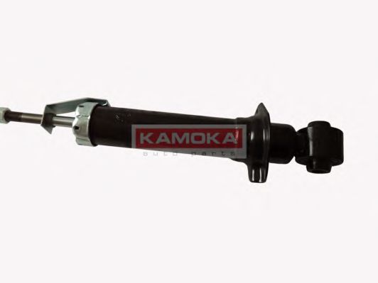 amortizor