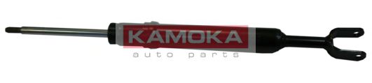 amortizor