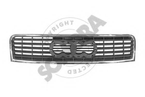 Grila radiator