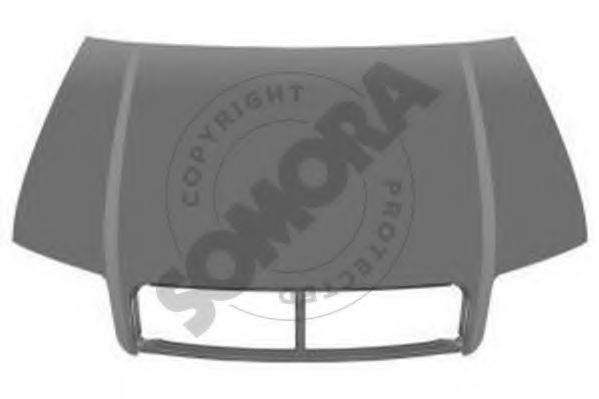 Capota motor
