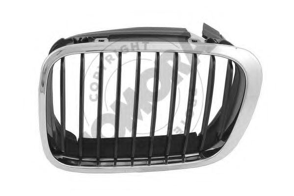 Grila radiator