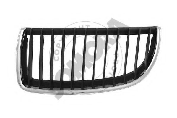 Grila radiator