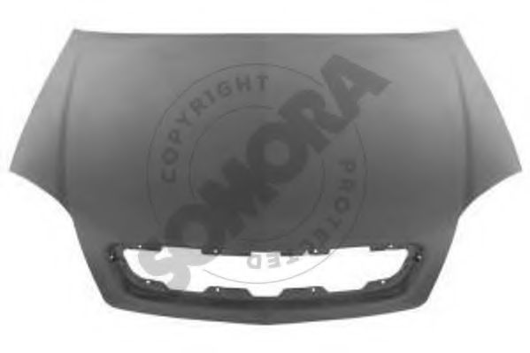 Capota motor
