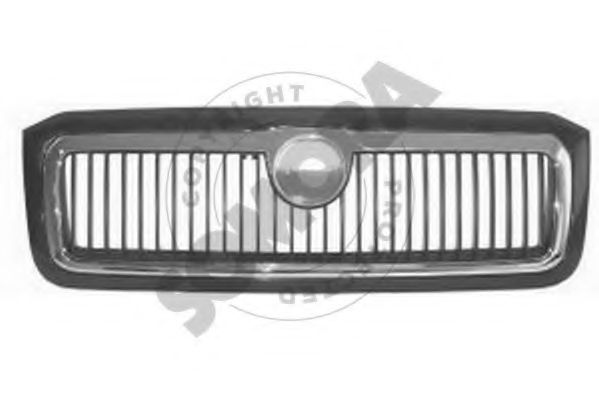 Grila radiator