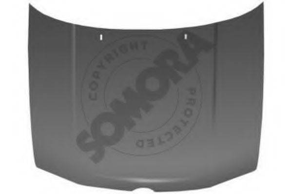 Capota motor