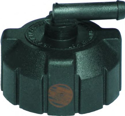 buson,vas expansiune