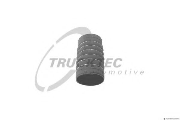 Furtun ear supraalimentare