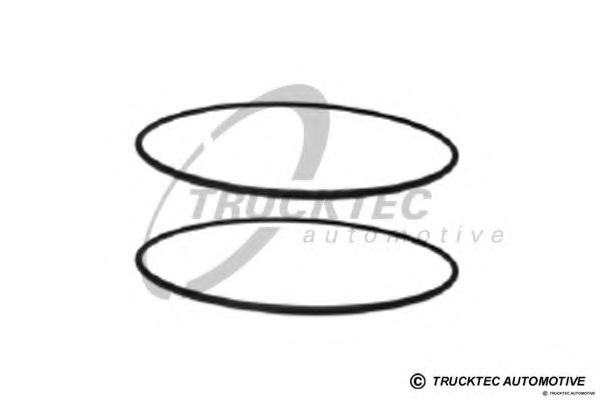 O-ring, camasa cilindru